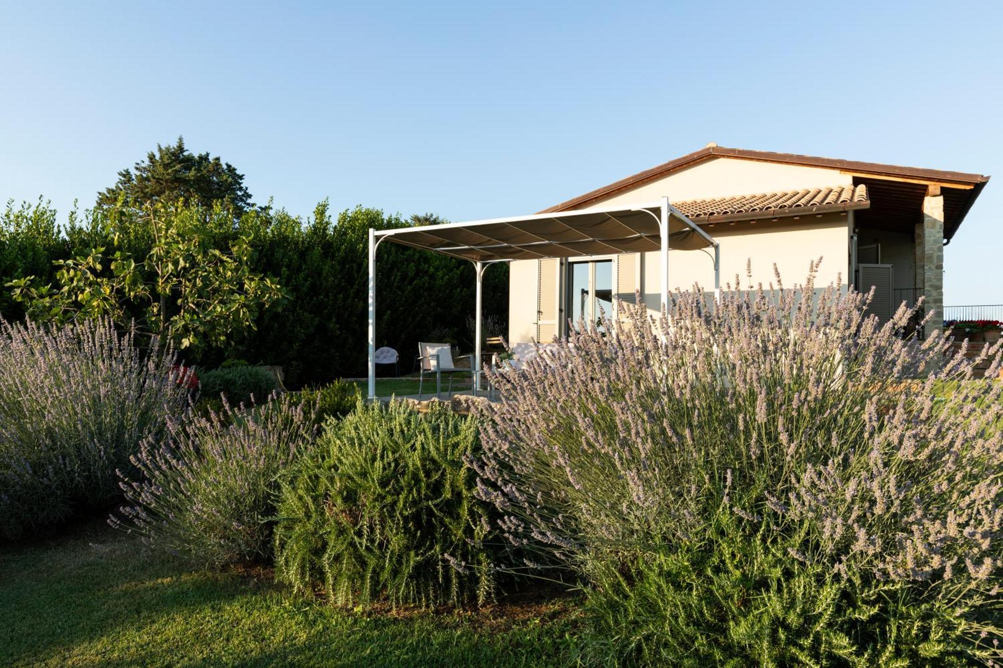 Nonno Gino Suite Monte San Savino Exteriér fotografie
